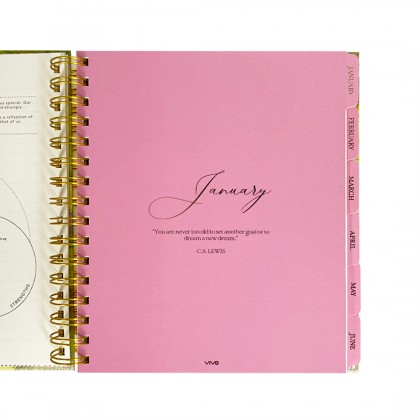 The Vif Planner - Paint Your Life Pink